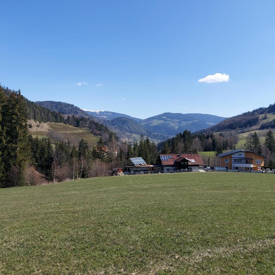 Апартаменты Greimblick Санкт-Петер-ам-Каммерсберг Экстерьер фото